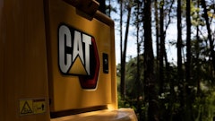 Cat Image